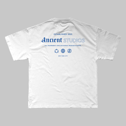 The Transparency T-Shirt