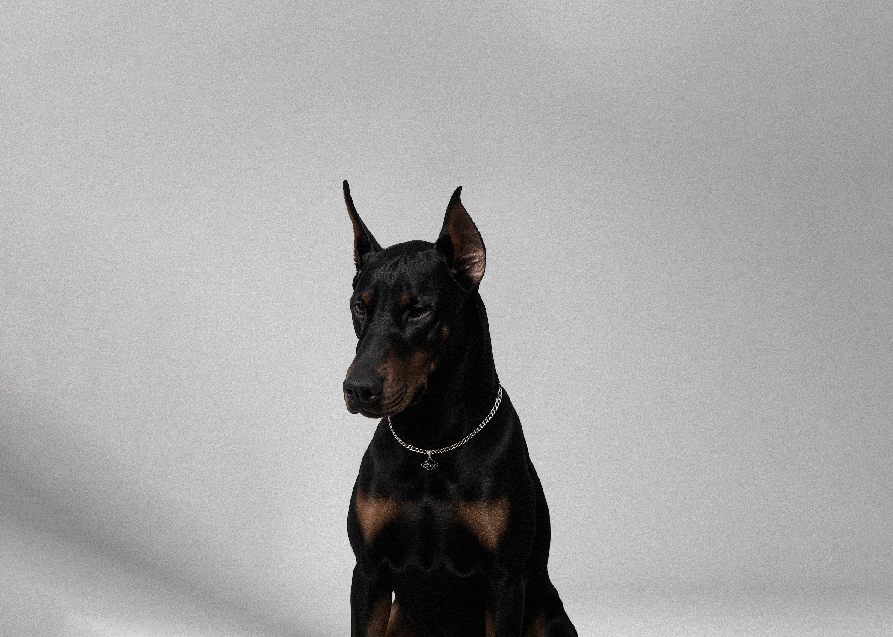 THE FIRST NECKLACE BY ANCIENTSTUDIOS