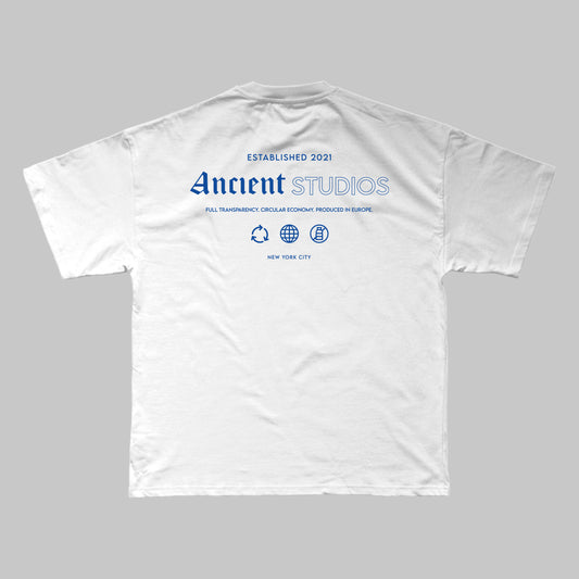 The Transparency T-Shirt