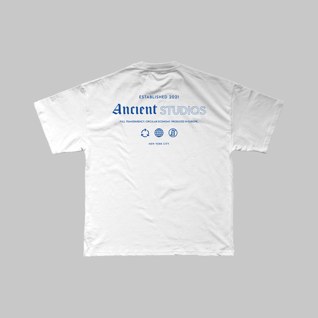 The Transparency T-Shirt